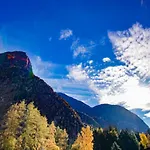 Waldblick